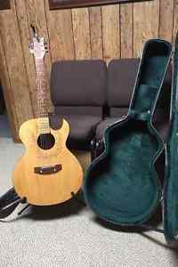 Custom built Electric Acoustic Guitar with Case