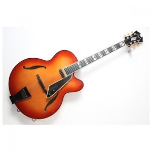 D'AQUIST DQ-NYE Flame Maple Top Used Electric Guitar W Hard Case Best Deal Japan