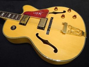 Epiphone Joe Pass EMPEROR-II Electric guitar Free Shipping