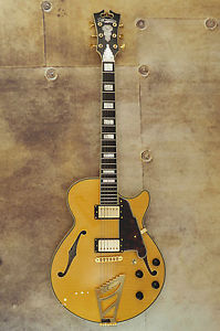 D’Angelico EX-SS – Semi Hollow Thineline