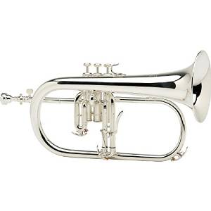 Yamaha YFH-8315G Custom Series Bb Flugelhorn YFH-8315GS Silver