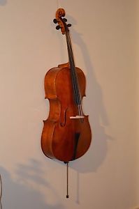 Cello Celli Angebot