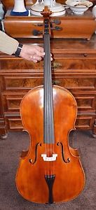 Cello Celli Korpus 75,5cm