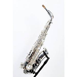 Selmer Paris Series III Model 62 Jubilee Edition Alto Saxophone 62JS - Silver Plated 888365457475