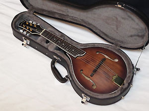 GOLD TONE GM-6+ 6-string electric guitar MANDOLIN new w/ HARD CASE