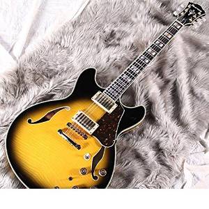 Free Shipping Ibanez As200-vys