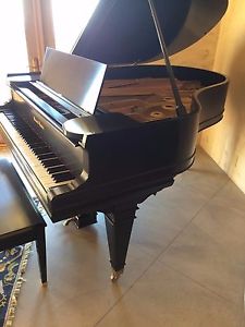 Mason & Hamlin Grand Piano Model AA 6'4"