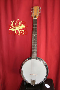 Gold Tone GT-1200 12-string E/A Banjitar