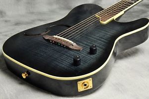 SCHECTER FL    Free Shipping