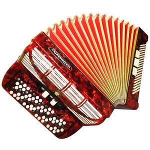 5 Row Weltmeister 120 Bass, Made in Germany, Original Button Accordion Bayan 822