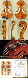 HANDmade 17" Maestro GLIGA VASILE Solid VIOLA Maple Wood Flamed