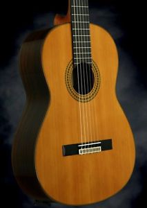 Yamaha GC22C Handmade Classical Guitar- Solid Cedar & rosewood BRAND NEW w/ case