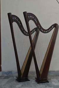 47 Strings Rosewood Celtic Harp Irish Style with soft water proof cover