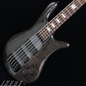 Spector Euro 5 LX (Trans Black Gloss) New  w/ Semi hard case