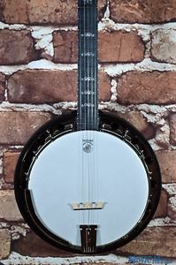 New Deering Artisan Goodtime Special Resonator Banjo