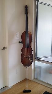 Eminence acoustic 4-string, removable neck upright travel bass