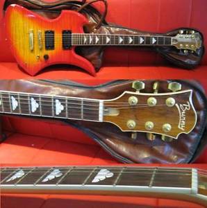 BURNY Mockingbird hide Model ?