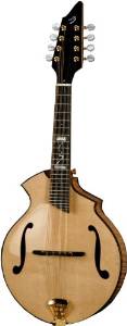Breedlove Rogue KF Master Class Mandolin, Made in U.S.A.