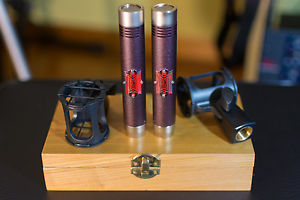 Beesneez Lulu FET pair, nickel capsules mod by Shannon Rhoades