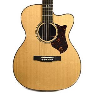Martin OMCPA1 Plus