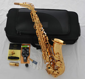 Professional Taishan 5000 Alto Sax Eb saxophone Gold High F# Germany Mouthpiece