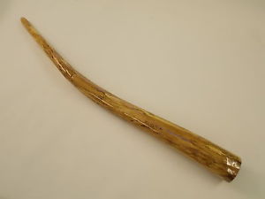 stunning spalted beech didgeridoo