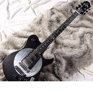 Free Shipping Used Zemaitis S24dt A&a