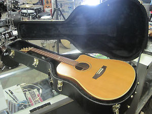 Seagull by Godin Artist Mosaic CW QII Acoustic/Electric