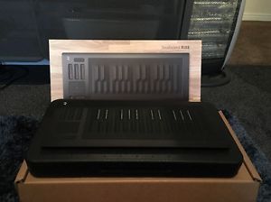 ROLI Seaboard Rise 25 + Equator Synth