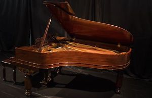 Steinway Model B Henry Z Limited Edition Piano Beautiful Indian Rosewood