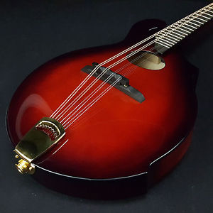 NEW Breedlove Legacy FO Mandolin with Hardshell Case Burst