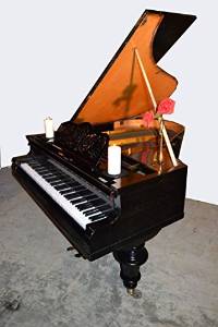 Breath taking price on this Bosendorfer grand piano & Free Steinway stool.