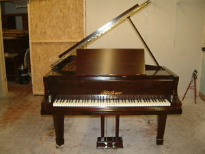Bluthner Grand piano in a Rosewood cabinet.