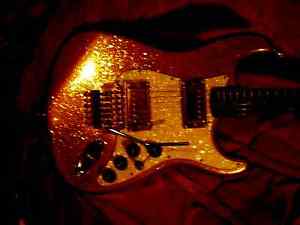 floyd rose fender guitar push pull split coil and phasing