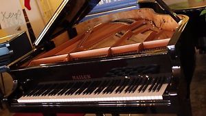 5' 6" Ebony Gloss Hailun Model HG-161 Grand Piano SN#15853