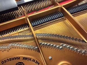 one-owner 2000 STEINWAY & SONS Model D Concert Grand Piano