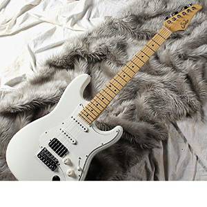 Free Shipping Suhr Pro Series Classic Pro SSH (Olympic White/maple)