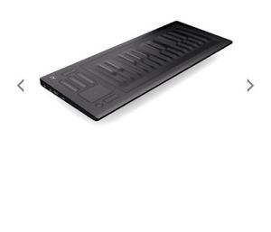 Roli Seaboard Rise 25
