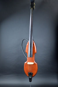 ARIA SWB-03 Upright Bass Free Shipping w/SC