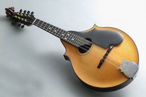 1920's Washburn Lyon & Healy 5283 Mandolin Free Shipping Vintage