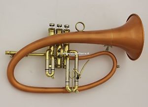 Taylor Phat Boy Flicorno soprano usato 38952