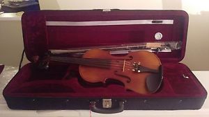 beautiful five string violin.