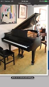 STEINWAY & SONS MODEL M