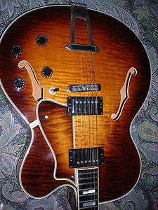 chitarra heritage  h550 castom