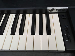Digital Piano Kawaii CL36