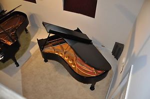 Steinway B  1997 Power.   "Maestro" Bruno owns more B's than anyone in the world