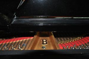 Steinway B 2013 High Gloss. Choose your level of Service.