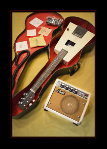 vintage guitar Howard Roberts GUILD Amp CHROMA Taylor Martin Gibson Fender strin