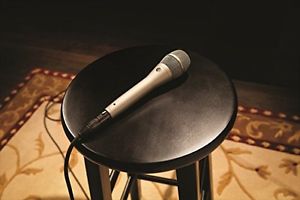 Shure KSM9 Handheld Vocal Microphone, Champagne