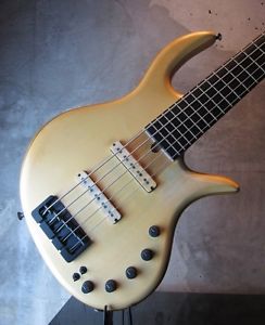 Elrick Gold Series E-Volution 5 Strings Bolt-on Used Electric Bass Guitar Japan